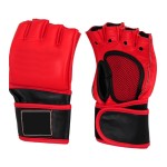 MMA Gloves